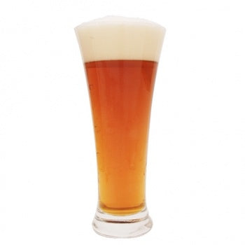 Jogo 6 Copo 33cl Cerveja Martigues