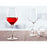 Jogo 6 Copo 25cl Mencia Hostelvia