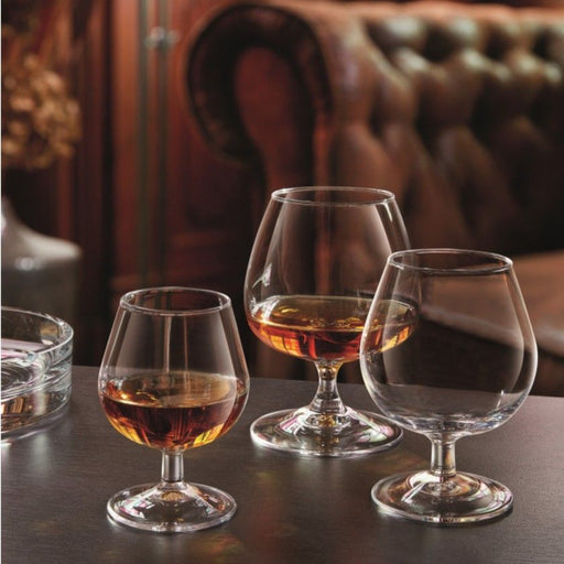 Jogo 6 Cálice 51cl Cognac Hostelvia